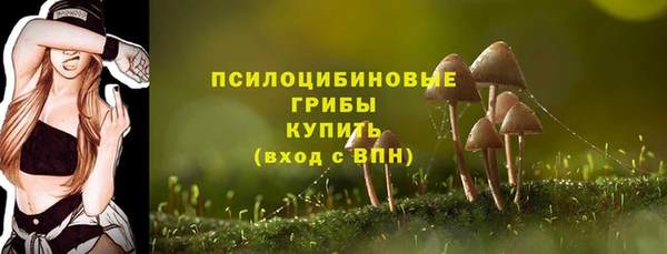 трава Уссурийск