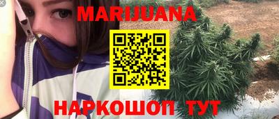 прущие грибы Пенза