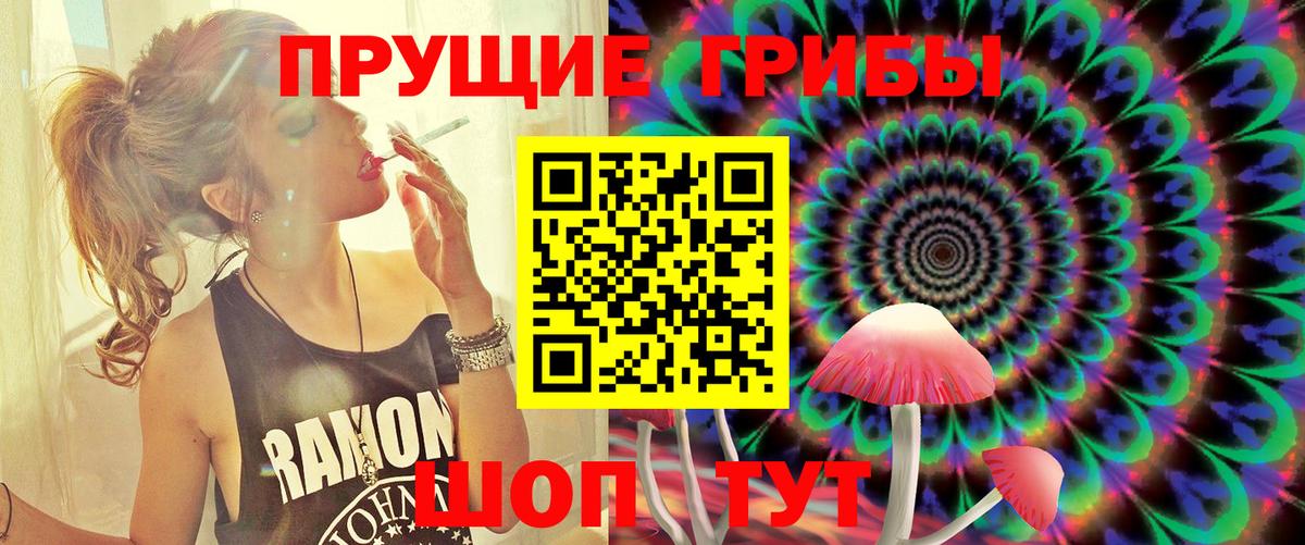 Тейково  Галлюциногенные грибы GOLDEN TEACHER  Вход с VPN  Псилоцибиновые грибы Psilocybe 